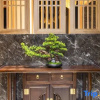 Отель Bixiyue Homestay (Huangshan Scenic Area Nandamen Branch), фото 4