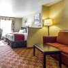 Отель Comfort Suites Vacaville-Napa Valley Area, фото 13