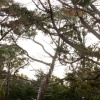 Отель Tokai Forest Guest House, фото 36