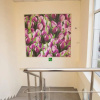 Гостиница Roofhotel Sochi Hostel, фото 26