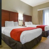 Отель Comfort Suites, фото 3