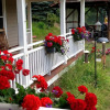Отель Whiteface Farm Adirondack Bed and Breakfast, фото 6