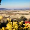 Отель Agriturismo Le Vignacce, фото 19