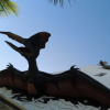 Отель Recanto dos Dinossauros, фото 37