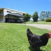 Отель Curra Homestead Maleny, фото 18