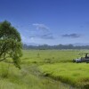 Отель Barahi Jungle Lodge, фото 14