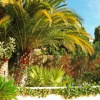 Отель Villa Ursula, фото 9