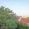 Отель Eflatun Guest House, фото 17