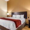 Отель Comfort Inn & Suites Kenosha-Pleasant Prairie, фото 19