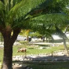 Отель Oasis Praia Hotel, фото 29