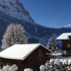 Отель Chalet B Rgsunna Grindelwald, фото 12