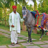Отель Sultan Bagh Jungle Camp - Phulwani Hotel, фото 22