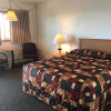 Отель Paintbrush Motel, фото 12
