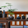 Отель Xizhu Homestay, фото 4