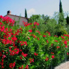 Отель Peaceful Villa In Frejus With Swimming Pool, фото 25