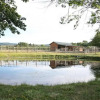 Отель Wine Suite at Rellik House. Winery & Alpaca Farm, фото 15