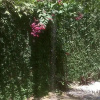 Отель Pousada Praia Das Conchas, фото 4
