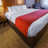Отель Comfort Inn, фото 14