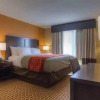 Отель Quality Inn & Suites, фото 5