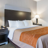 Отель Quality Inn & Suites, фото 8