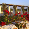 Отель Masseria Serralta, фото 6