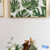 Отель Jianyiyaju Homestay, фото 8
