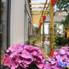 Отель Tai'an Qixing Yard B&B (Taishan Huanshan Road Branch), фото 6