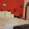 Отель Mas Torrencito  Pet Friendly, фото 4