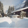 Отель Chalet B Rgli Kandersteg, фото 1
