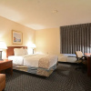 Отель M Star Hotel Little Rock, фото 4