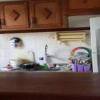 Отель Charmosa casa com piscina em Búzios, фото 1