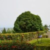 Отель Villa les 3 oisillons, фото 15