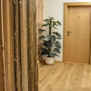 Отель Apartment Ferienhaus Seidlgut, фото 10
