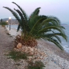 Отель Family House Near the Beach Drepano-Nafplio, фото 12