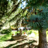 Отель Pension Schweitzer, фото 15