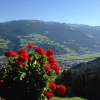 Отель Gästehaus Rieser, фото 5