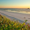 Отель Arch Cape Escape by Avantstay Sensational Clift Top Home w/ Pacific Ocean Views, фото 12