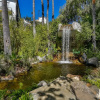 Отель Jardines de las Golondrinas, фото 23