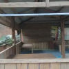 Отель Homestay Banyumili, фото 8