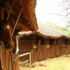 Отель Offbeat Safaris, фото 6