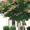 Отель Holiday Inn Express Raleigh Durham Airport, an IHG Hotel, фото 24