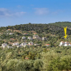 Отель Villa Oliva, фото 8