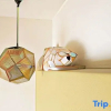 Отель Slow Travel Taitung B&B, фото 2