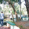 Отель Kuttickattil Gardens Home Stay, фото 13