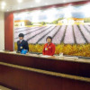Отель Hanting Hotel, фото 9