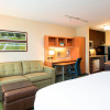 Отель TownePlace Suites by Marriott Lexington South/Hamburg Place, фото 14