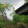 Отель The Rock View Homestay Sigiriya, фото 25