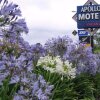 Отель Apollo Motel Christchurch, фото 22