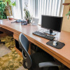 Отель Comfort Suites, фото 17