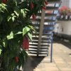 Отель Townhouse Super Aconchegante, фото 6